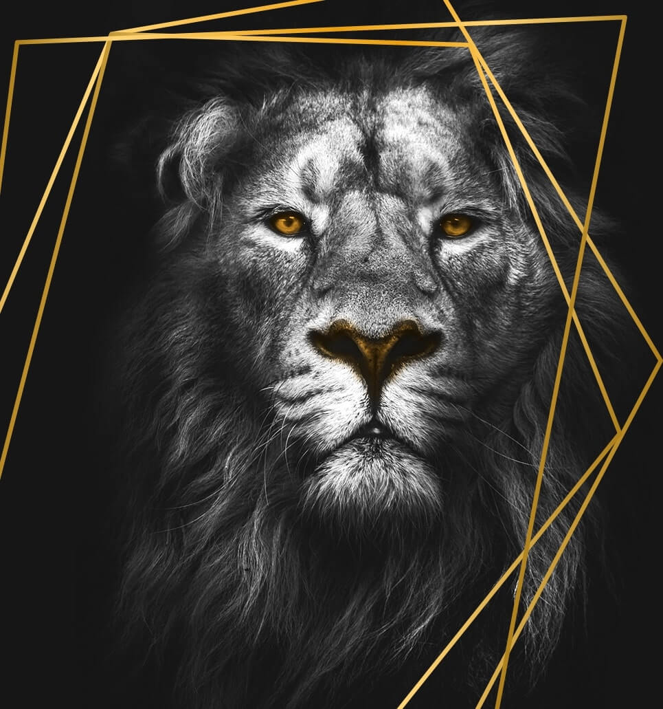 Liongate | RGV Custom Home Builders & Land Clearing | McAllen